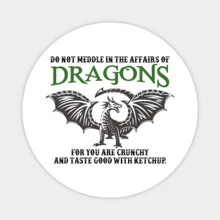 Do Not Meddle In The Affairs Of Dragons Magnet
